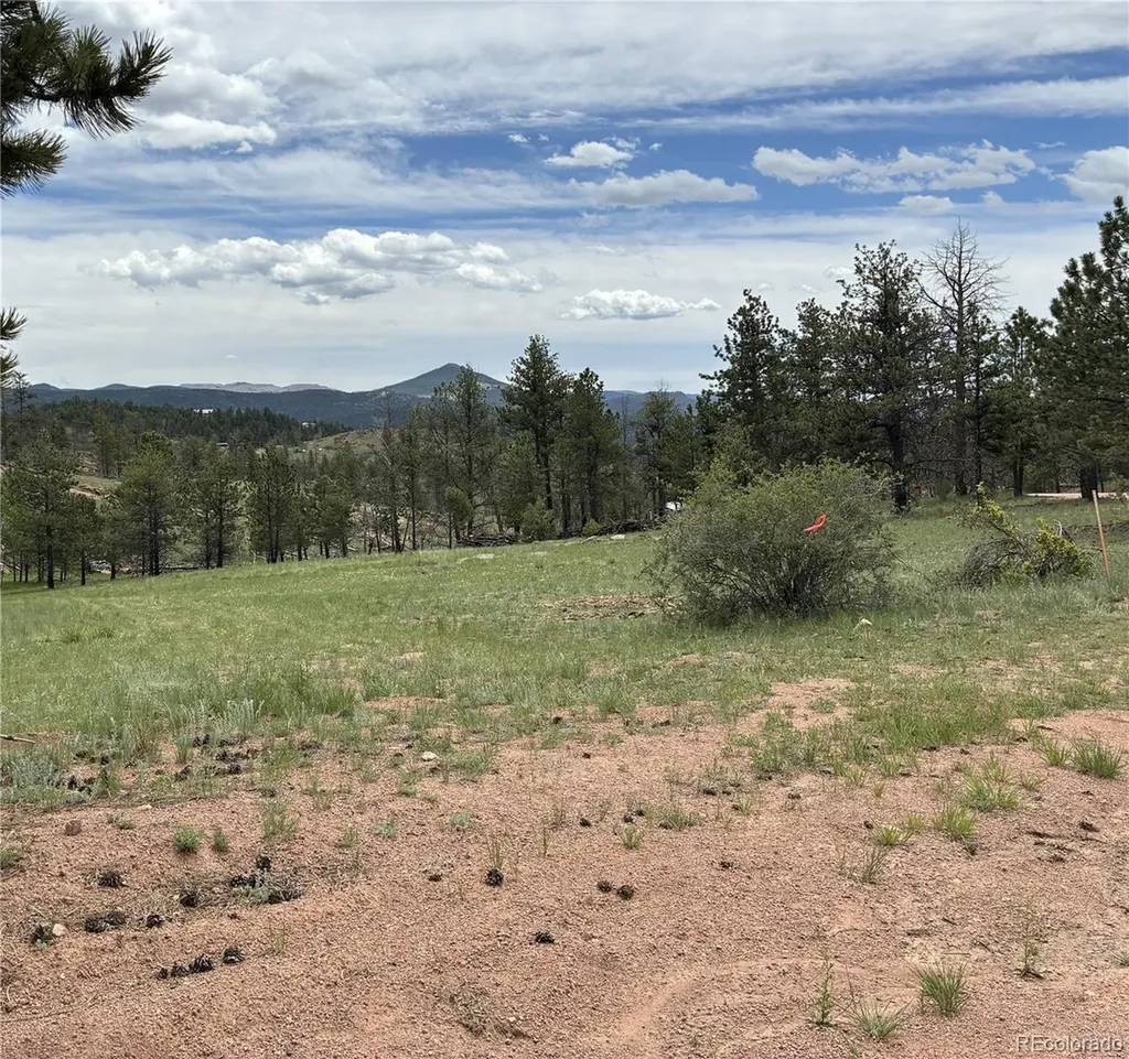 266 Chapparal Trail Florissant CO 80816