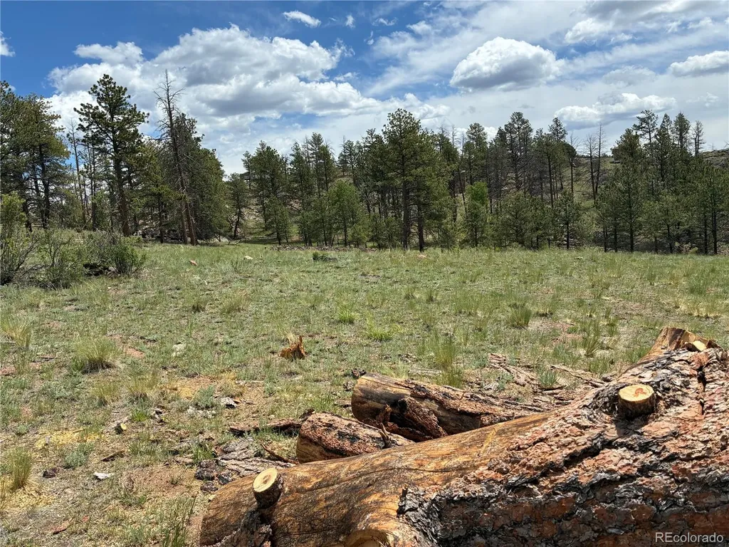 266 Chapparal Trail Florissant CO 80816