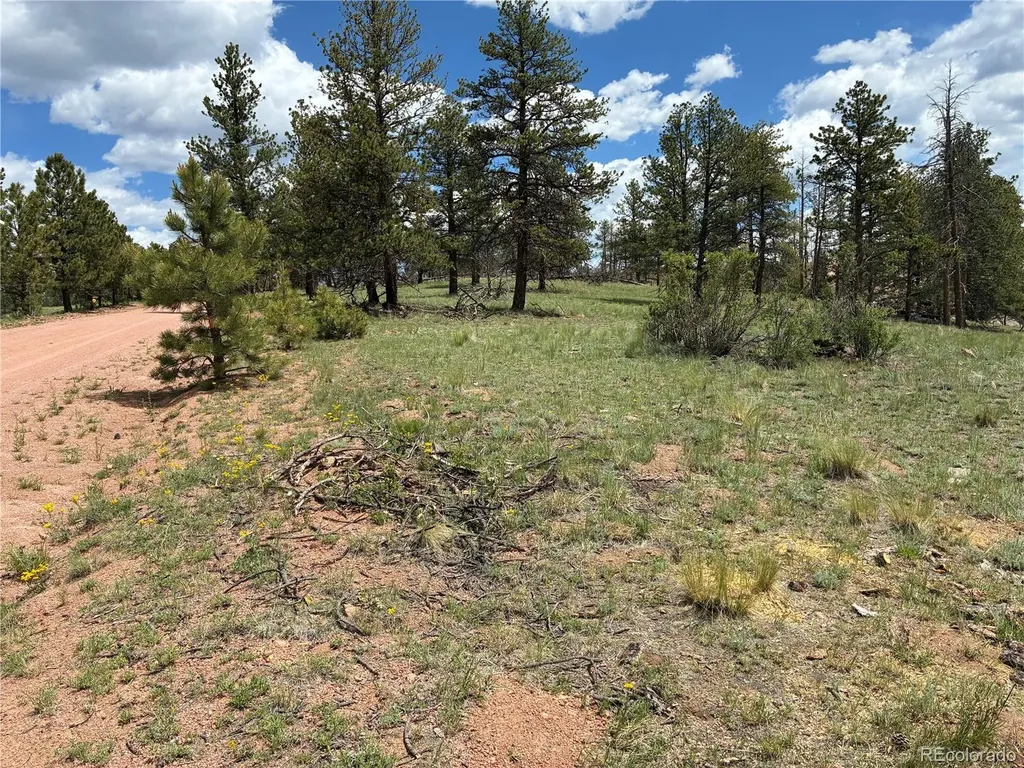 266 Chapparal Trail Florissant CO 80816
