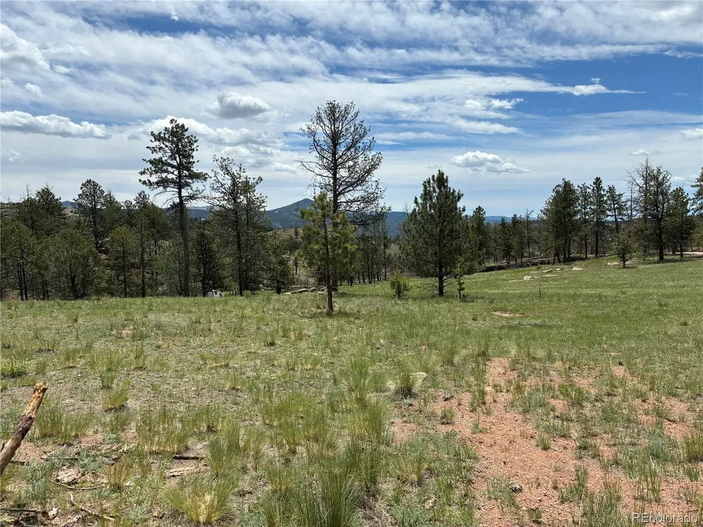 266 Chapparal Trail Florissant CO 80816