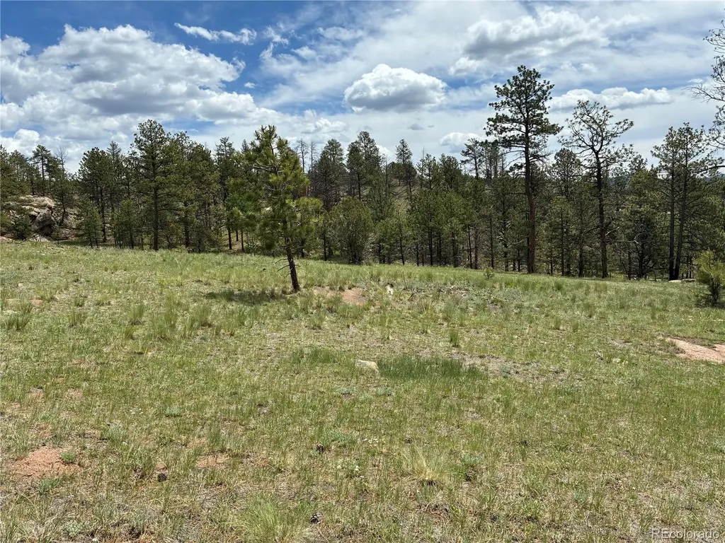 266 Chapparal Trail Florissant CO 80816