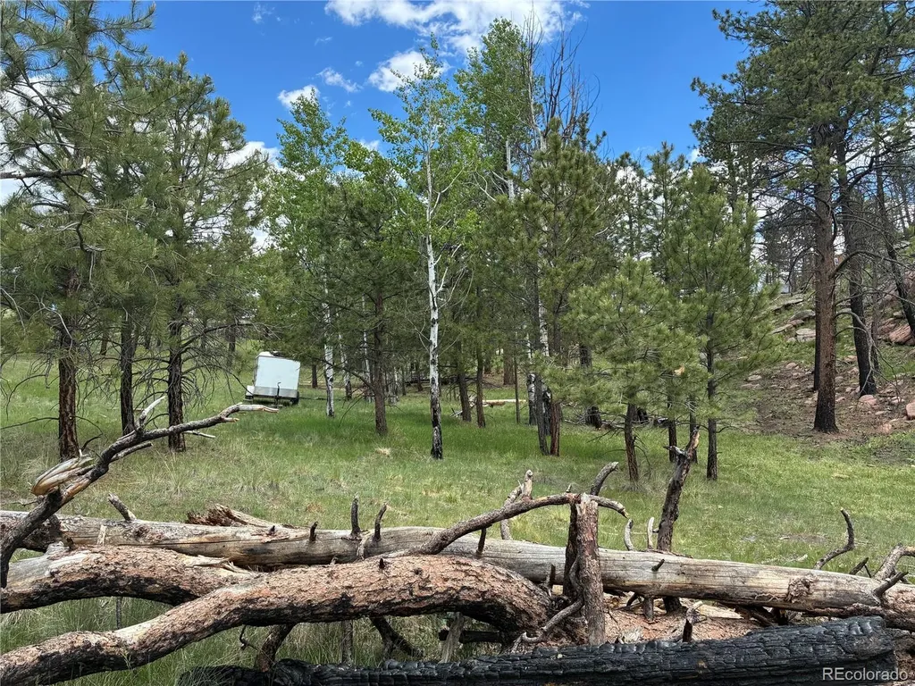 266 Chapparal Trail Florissant CO 80816