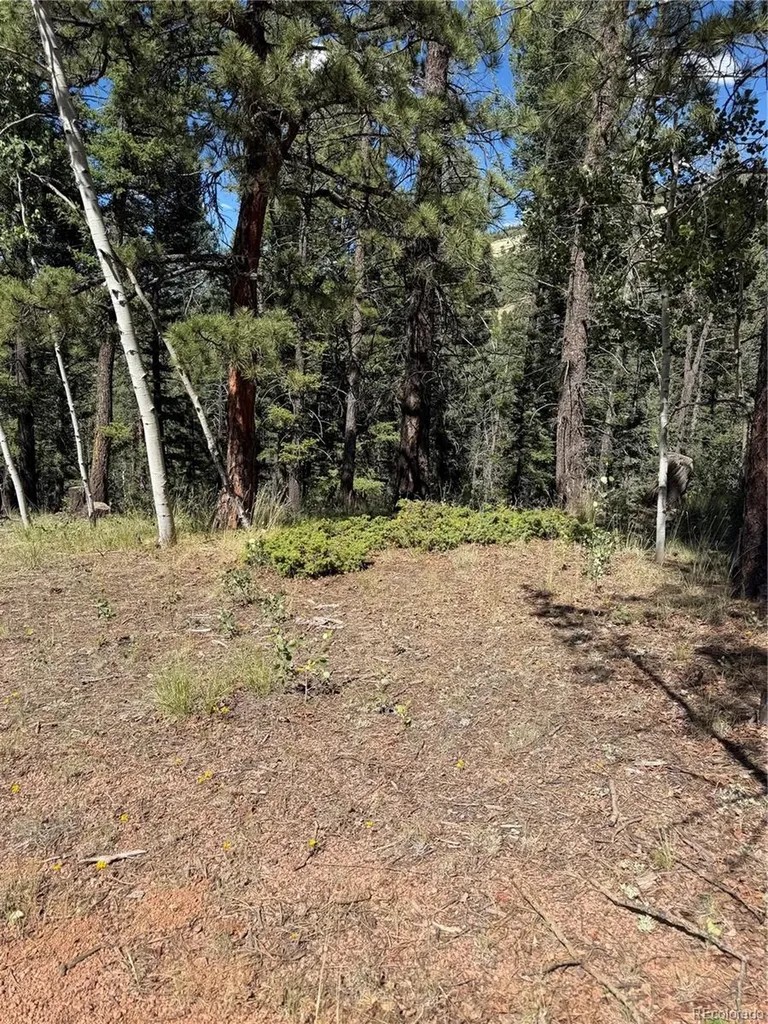 1007 Derby Drive Cripple Creek CO 80813