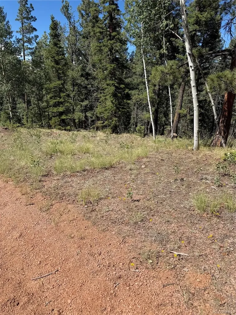 1007 Derby Drive Cripple Creek CO 80813