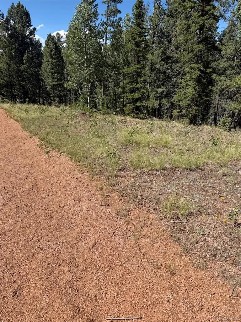 1007 Derby Drive Cripple Creek CO 80813