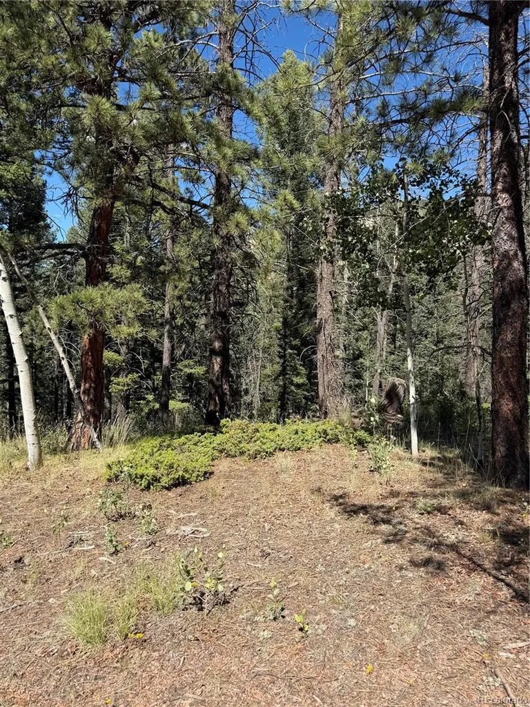 1007 Derby Drive Cripple Creek CO 80813