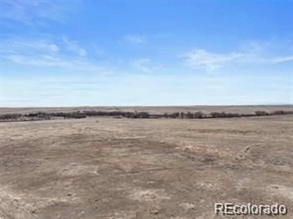 12008 County Road 2a Rush CO 80833
