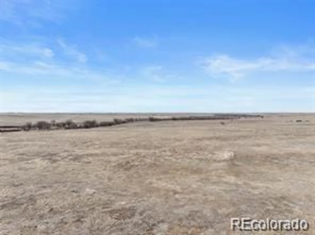 12008 County Road 2a Rush CO 80833