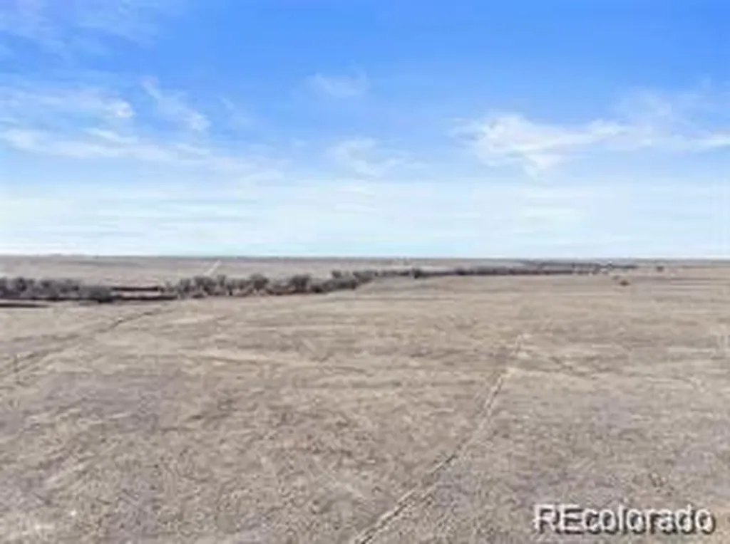 12008 County Road 2a Rush CO 80833
