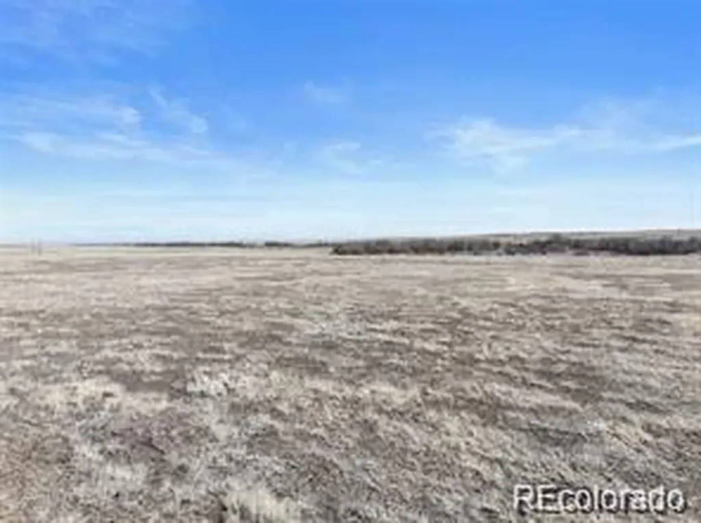 12008 County Road 2a Rush CO 80833