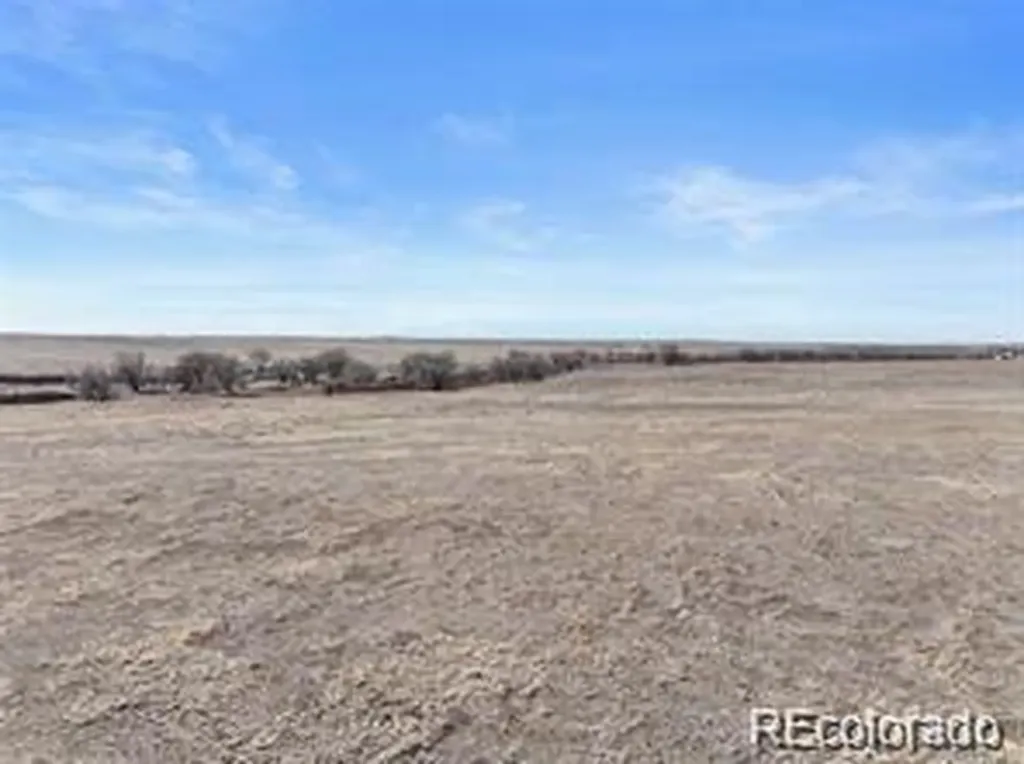 12008 County Road 2a Rush CO 80833