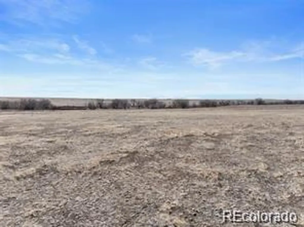 12008 County Road 2a Rush CO 80833