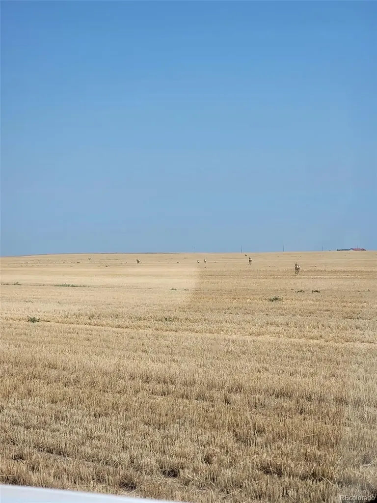 0 County Road 81 Roggen CO 80652