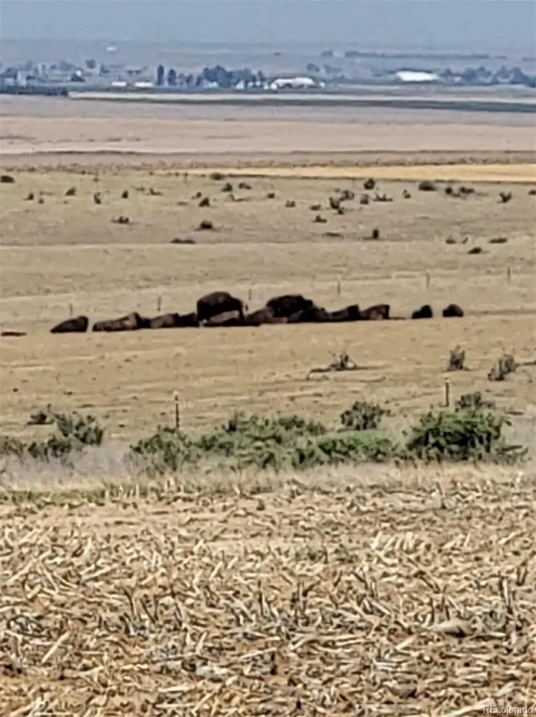 0 County Road 81 Roggen CO 80652