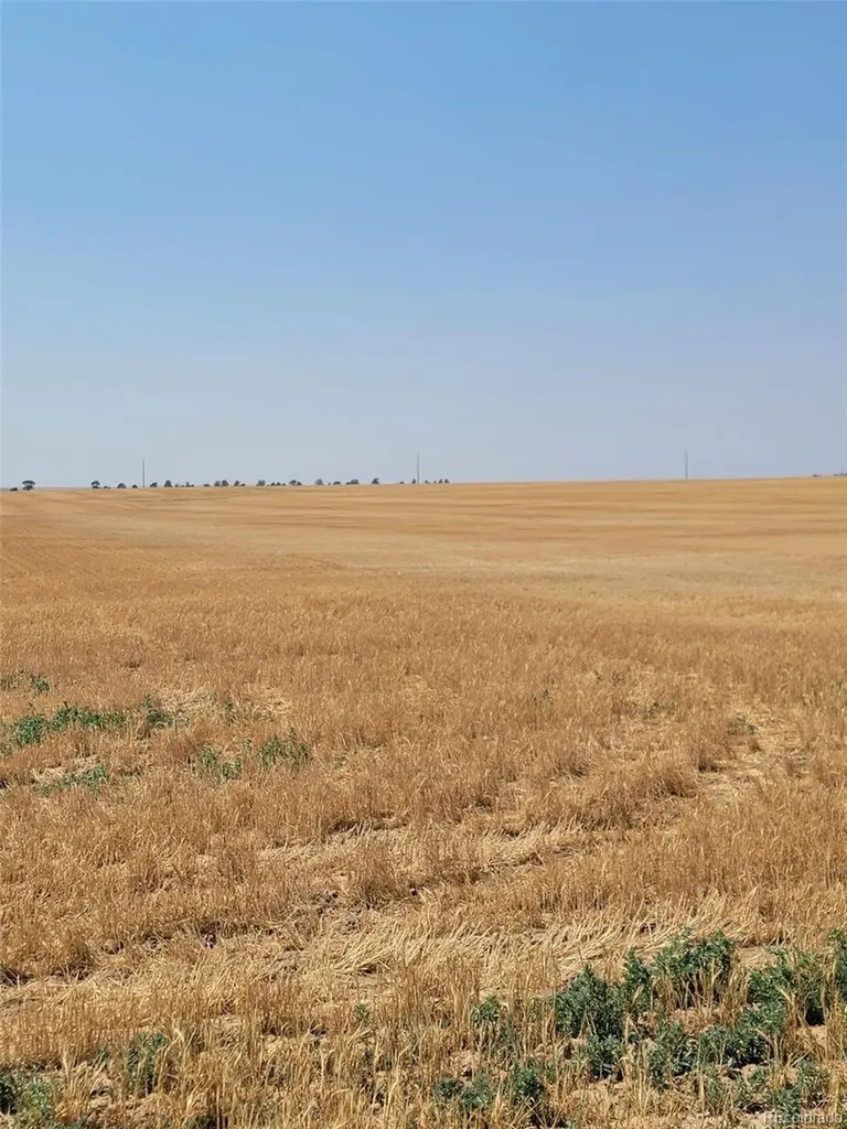 0 County Road 81 Roggen CO 80652
