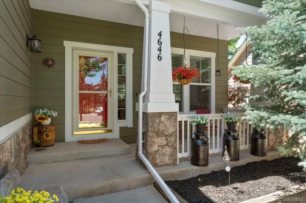 4646 Sunridge Terrace Drive Castle Rock CO 80109