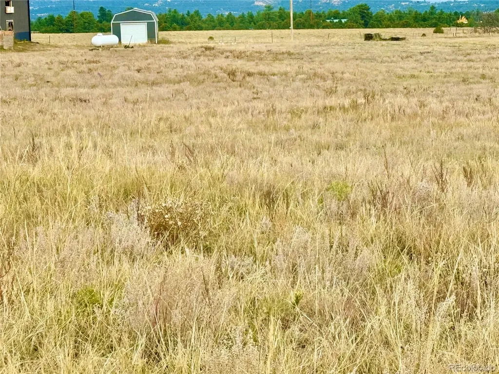 135 Fawn Street Westcliffe CO 81252