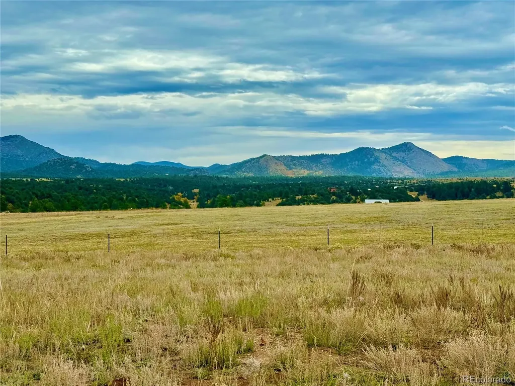 135 Fawn Street Westcliffe CO 81252