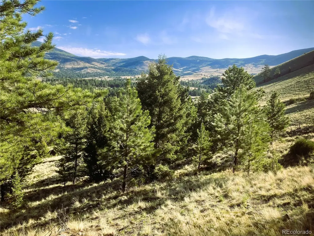 2506 County Road 16 Cotopaxi CO 81223