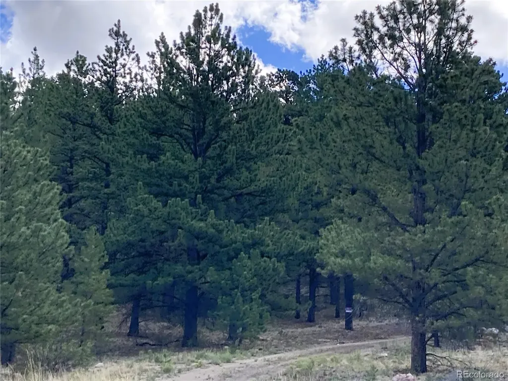 2506 County Road 16 Cotopaxi CO 81223