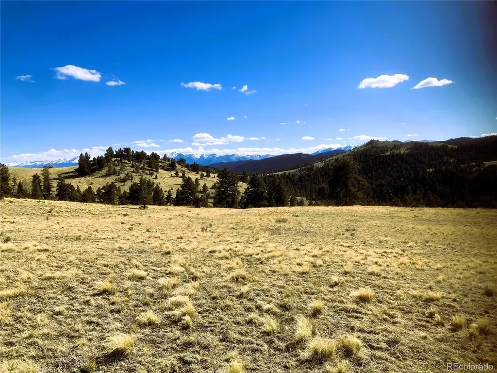 2506 County Road 16 Cotopaxi CO 81223
