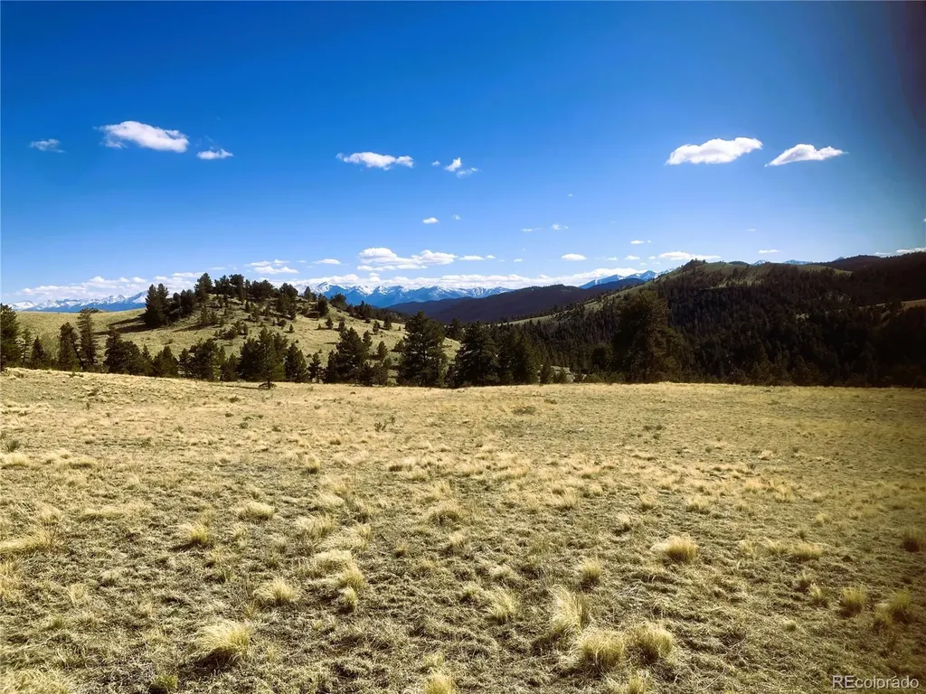 2506 County Road 16 Cotopaxi CO 81223