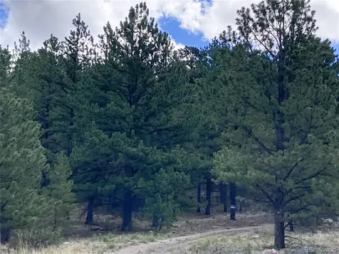 2506 County Road 16 Cotopaxi CO 81223