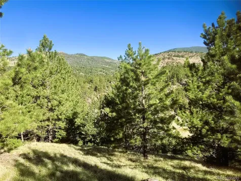 2506 County Road 16 Cotopaxi CO 81223