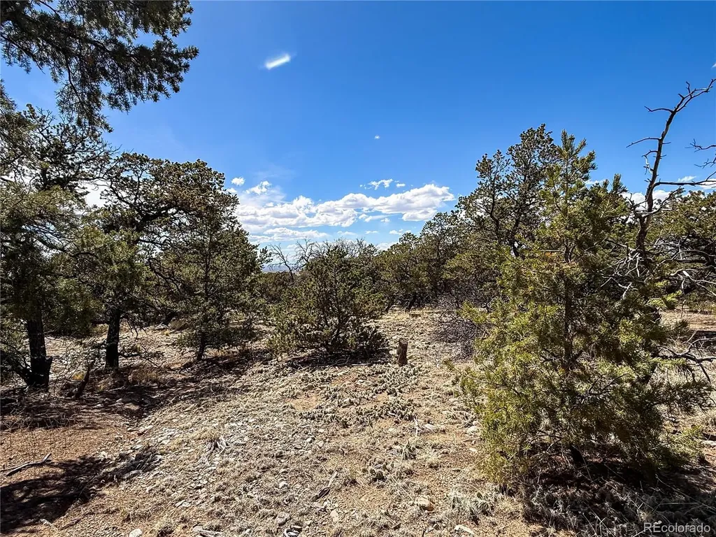 107 Crosstimber Lane Mosca CO 81146