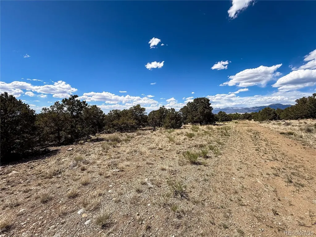 107 Crosstimber Lane Mosca CO 81146