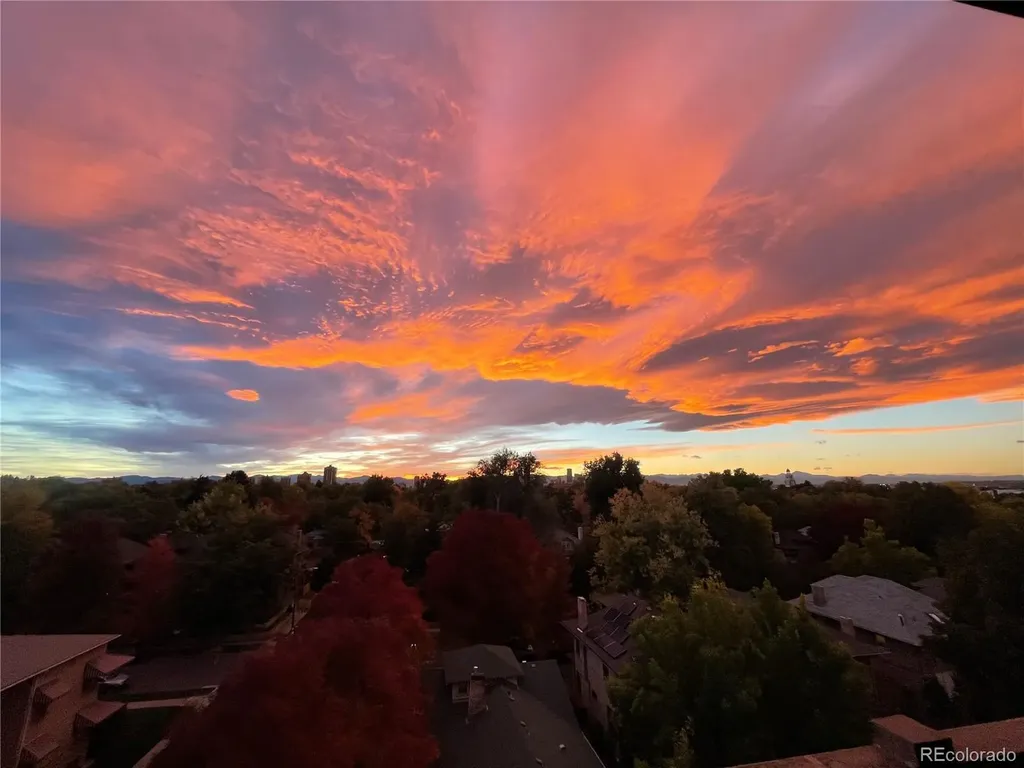 1313 Steele Street Denver CO 80206