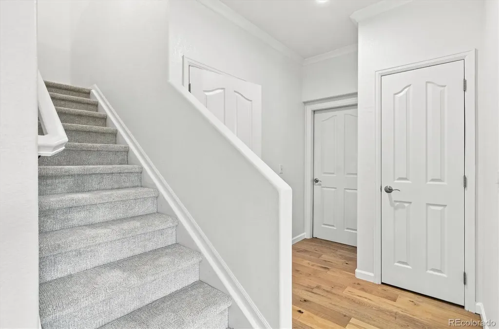 485 Elmhurst Way Highlands Ranch CO 80129