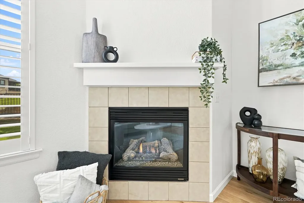 485 Elmhurst Way Highlands Ranch CO 80129