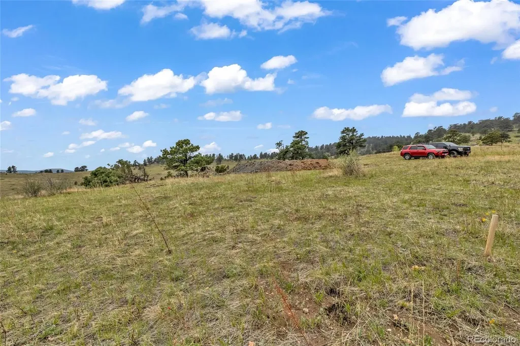 26283 Thea Gulch Road Golden CO 80403