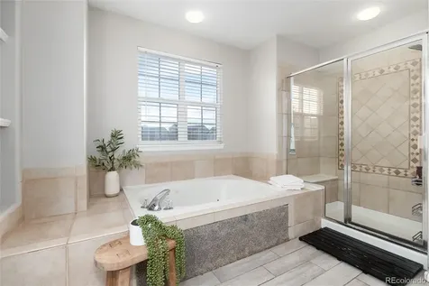 3920 Sunridge Terrace Drive Castle Rock CO 80109