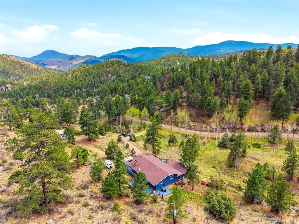204 Bob Cat Trail Bailey CO 80421