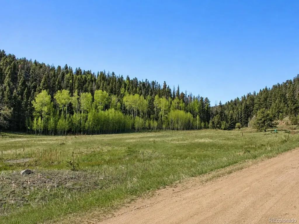 Lot 1 Co Road 358 Westcliffe CO 81252