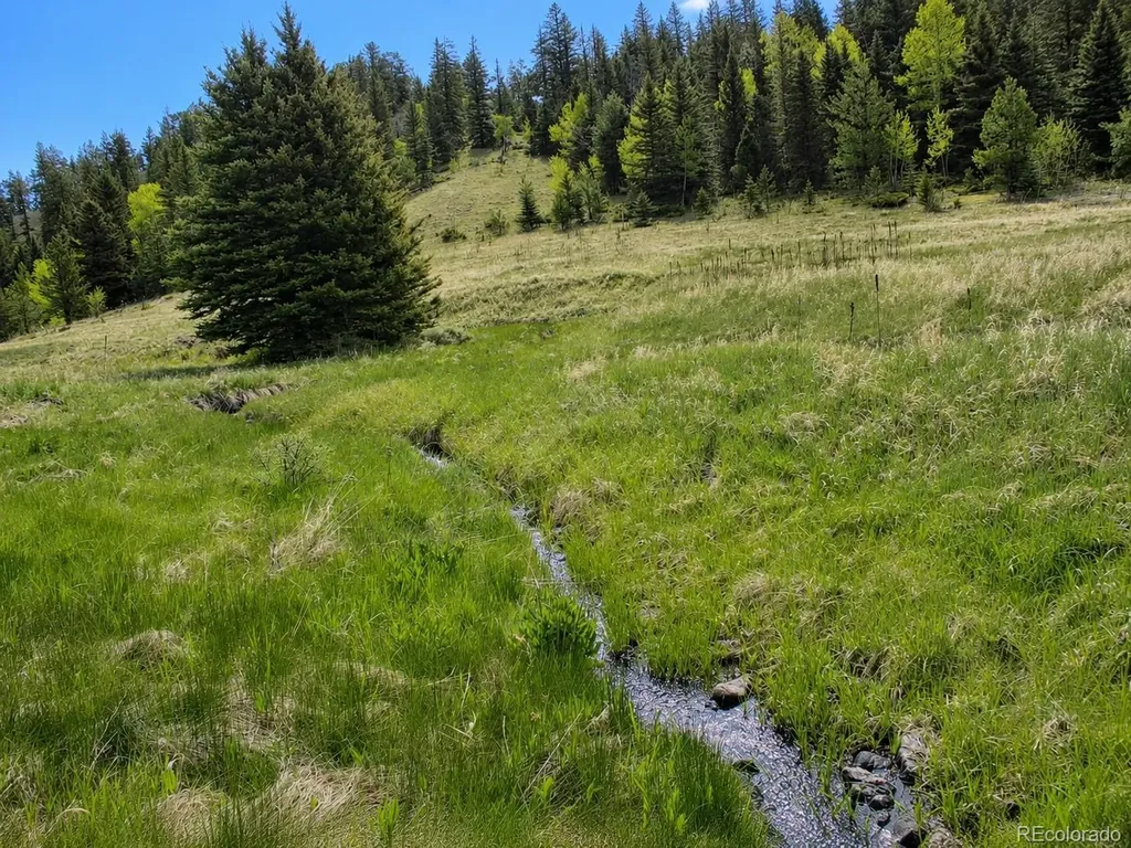 Lot 1 Co Road 358 Westcliffe CO 81252