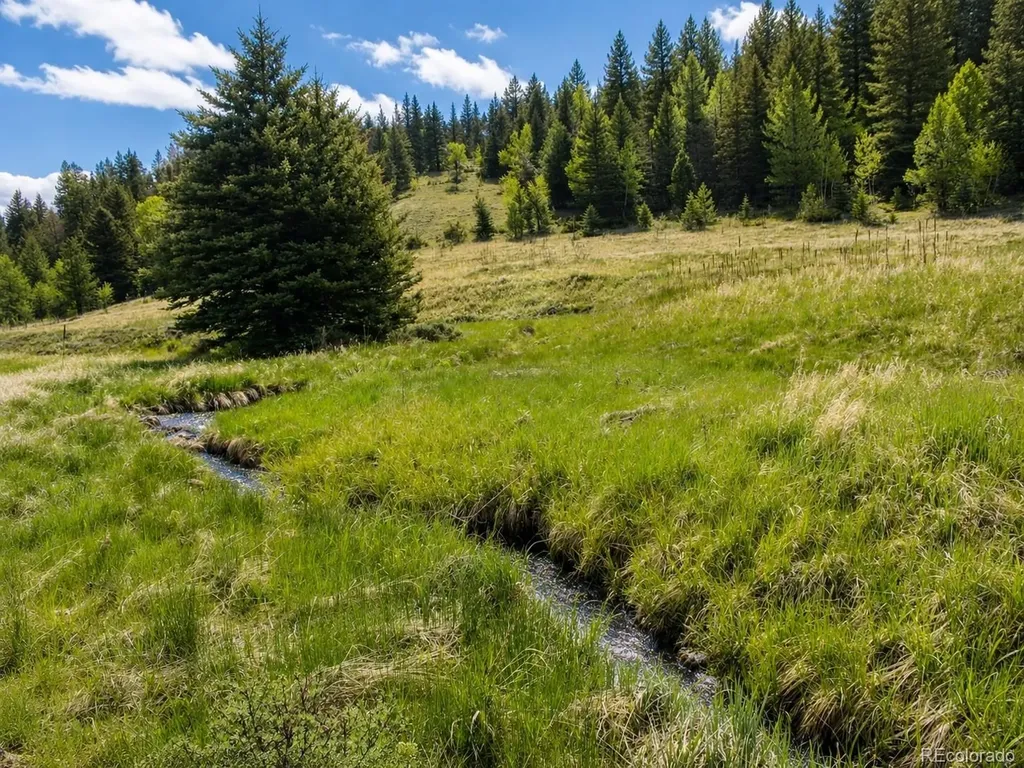 Lot 1 Co Road 358 Westcliffe CO 81252