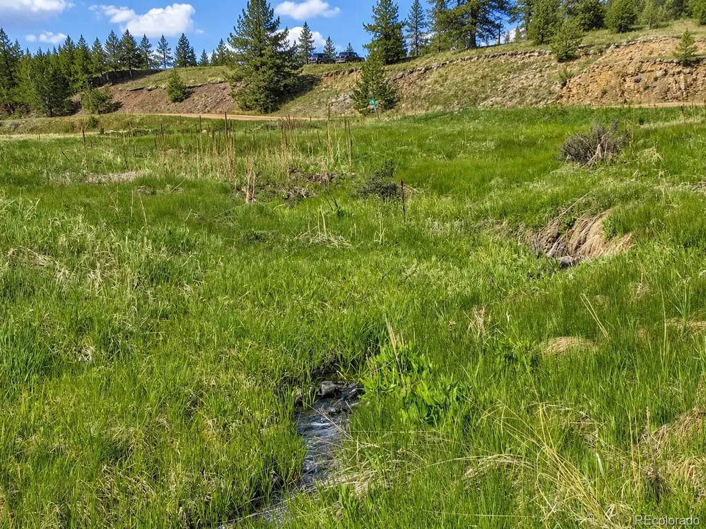 Lot 1 Co Road 358 Westcliffe CO 81252