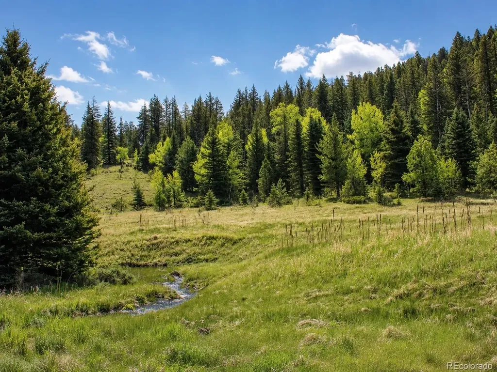 Lot 1 Co Road 358 Westcliffe CO 81252