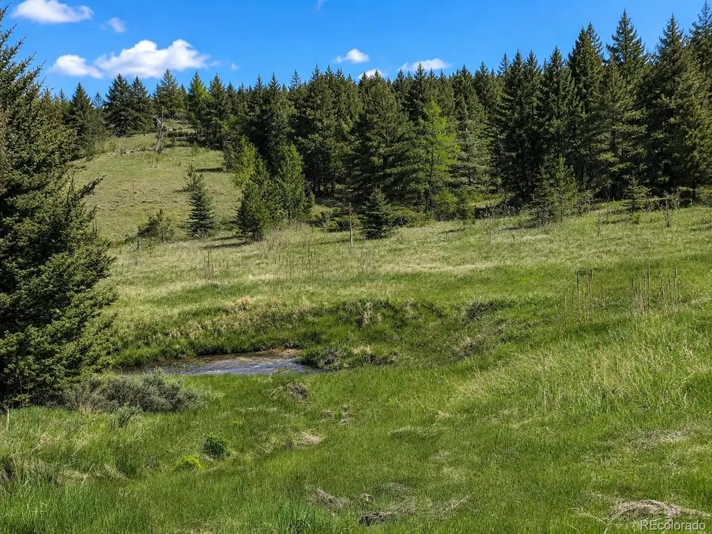 Lot 1 Co Road 358 Westcliffe CO 81252