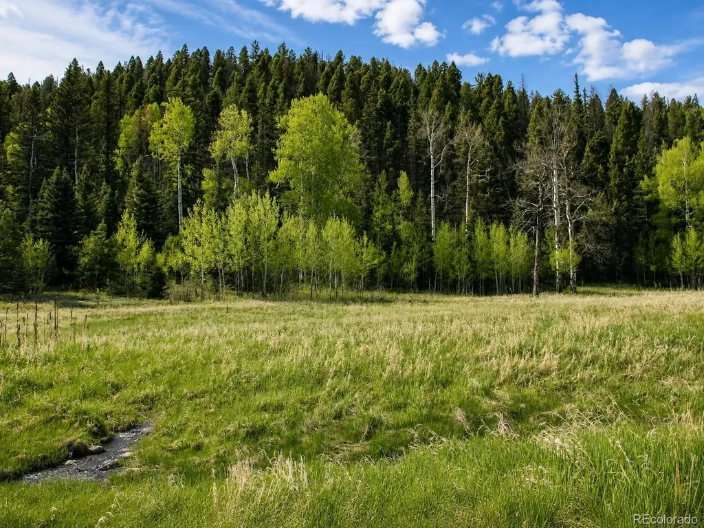 Lot 1 Co Road 358 Westcliffe CO 81252