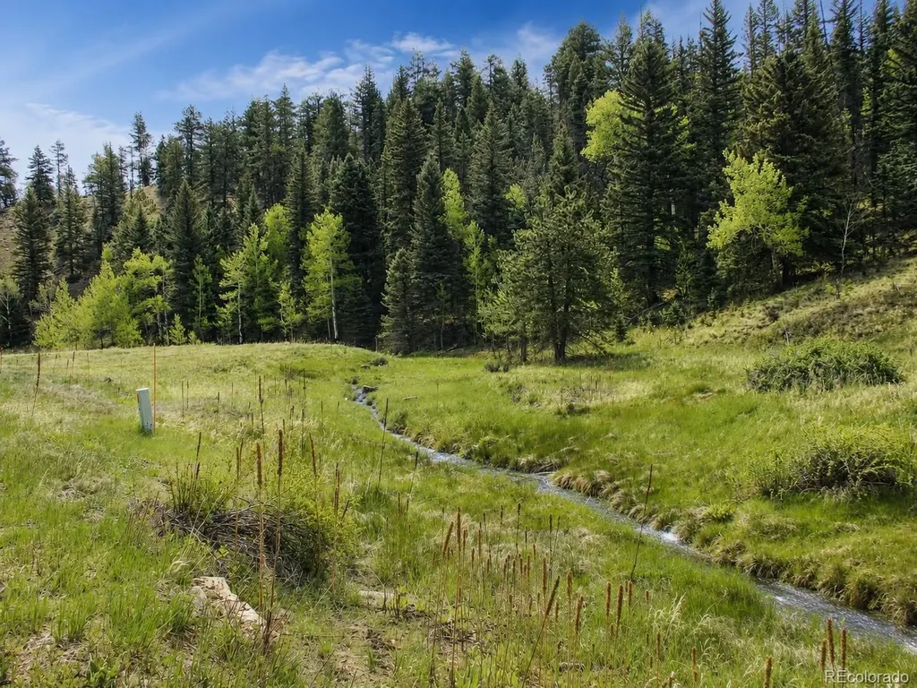 Lot 1 Co Road 358 Westcliffe CO 81252