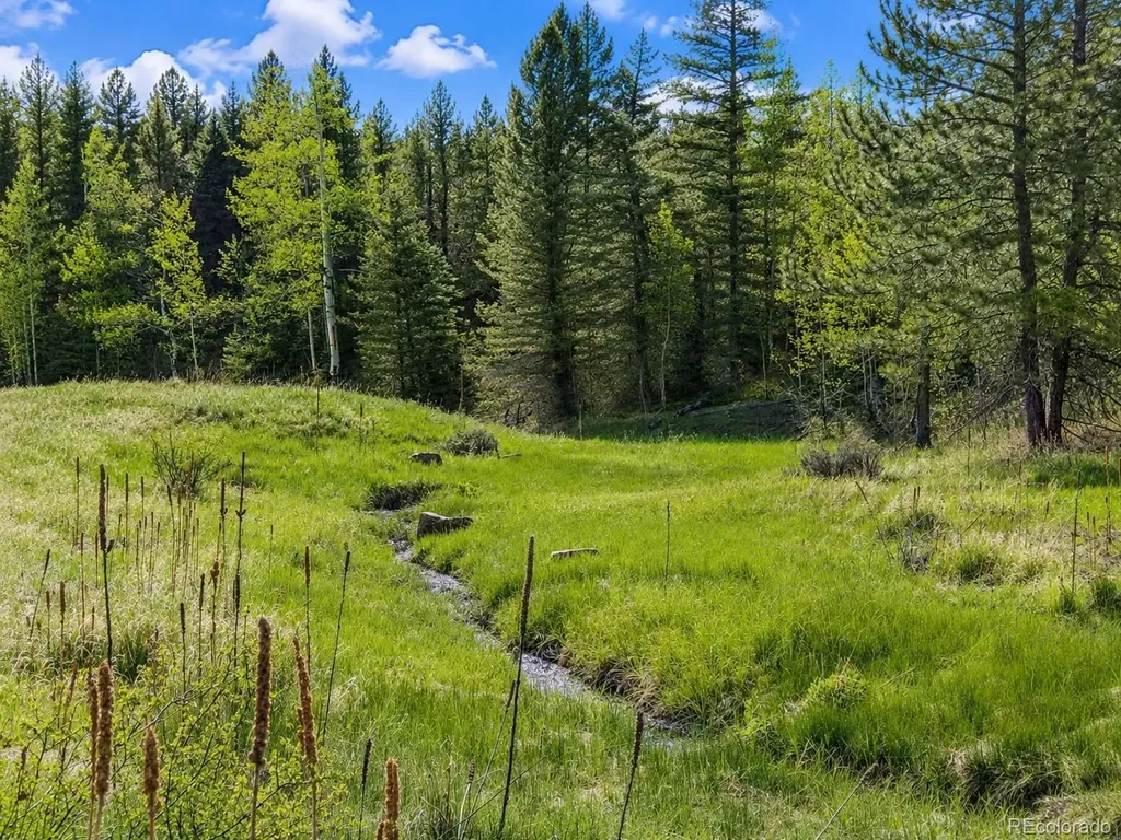 Lot 1 Co Road 358 Westcliffe CO 81252