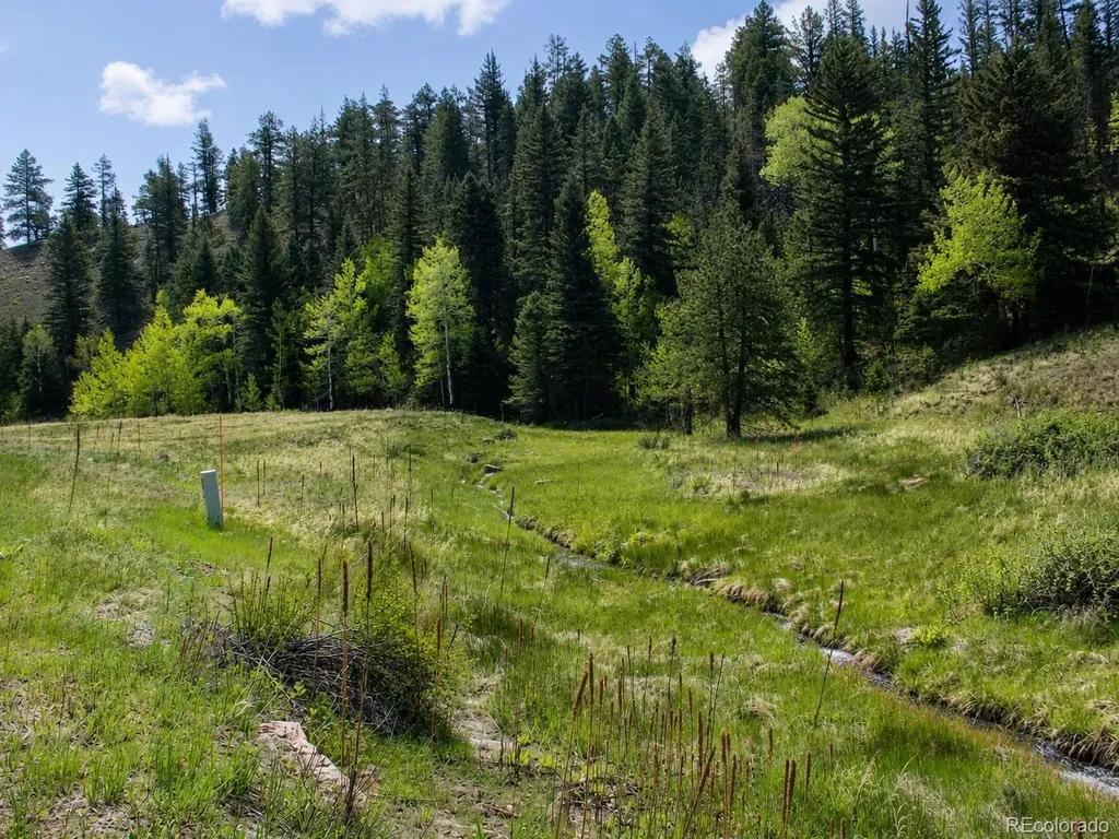 Lot 1 Co Road 358 Westcliffe CO 81252