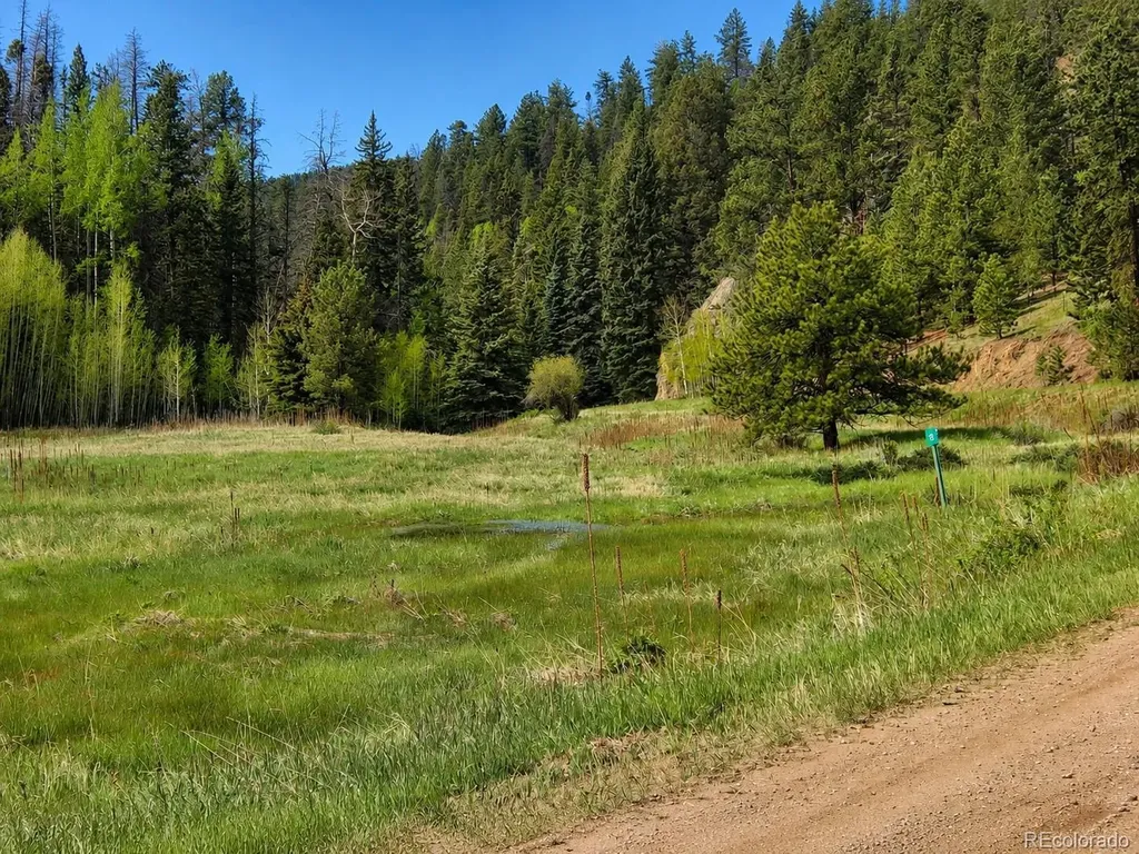 Lot 1 Co Road 358 Westcliffe CO 81252