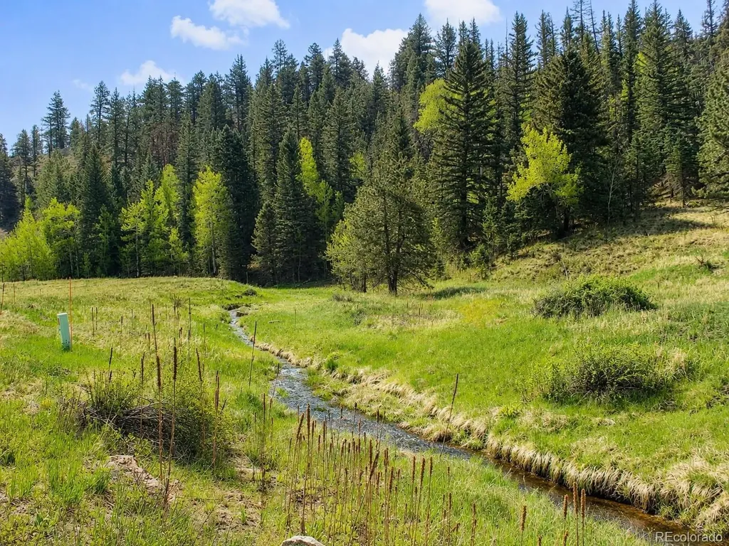 Lot 1 Co Road 358 Westcliffe CO 81252