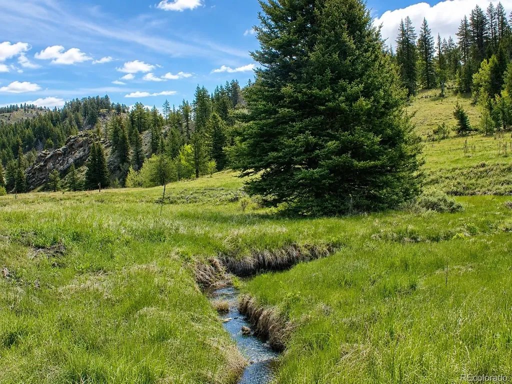 Lot 1 Co Road 358 Westcliffe CO 81252