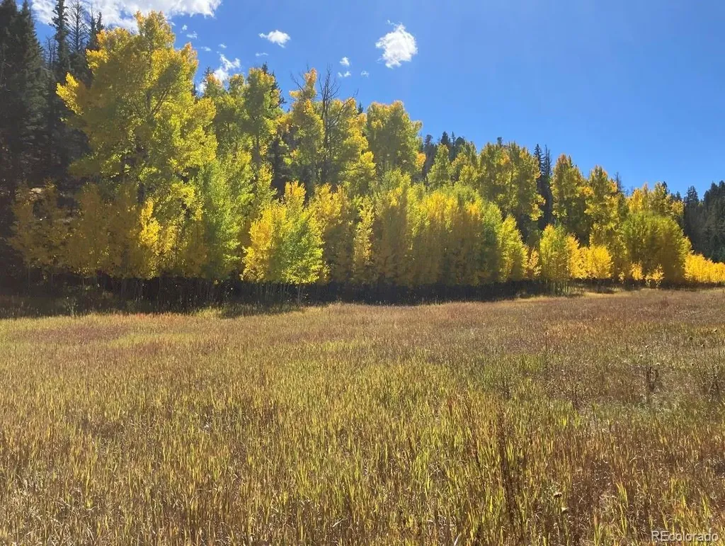 Lot 1 Co Road 358 Westcliffe CO 81252